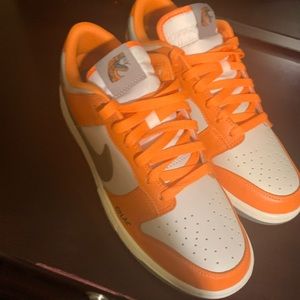 COPY - Famu dunks comes with the box